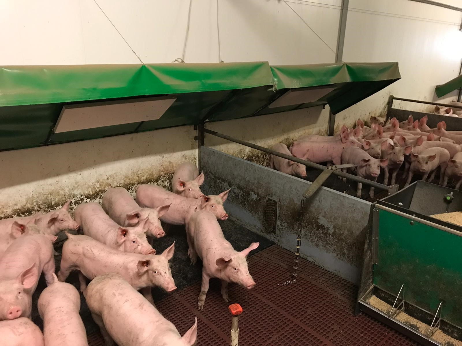 Infrarood Paneel Vewi Techniek B.v.